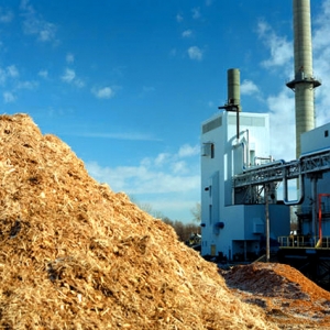 energia biomassa