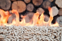 Biomasse solide: certificazione ambientale