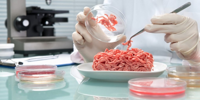 Microbiologia degli alimenti. Pubblicata una nuova norma UNI