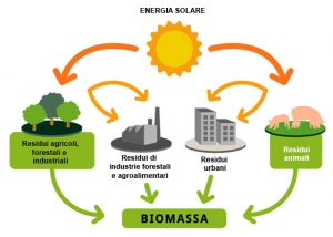 Tracciabilità di filiera delle biomasse: il MiPAF indica i costi di certificazione
