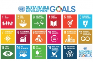 Normazione e Obiettivi per lo sviluppo sostenibile 2030.